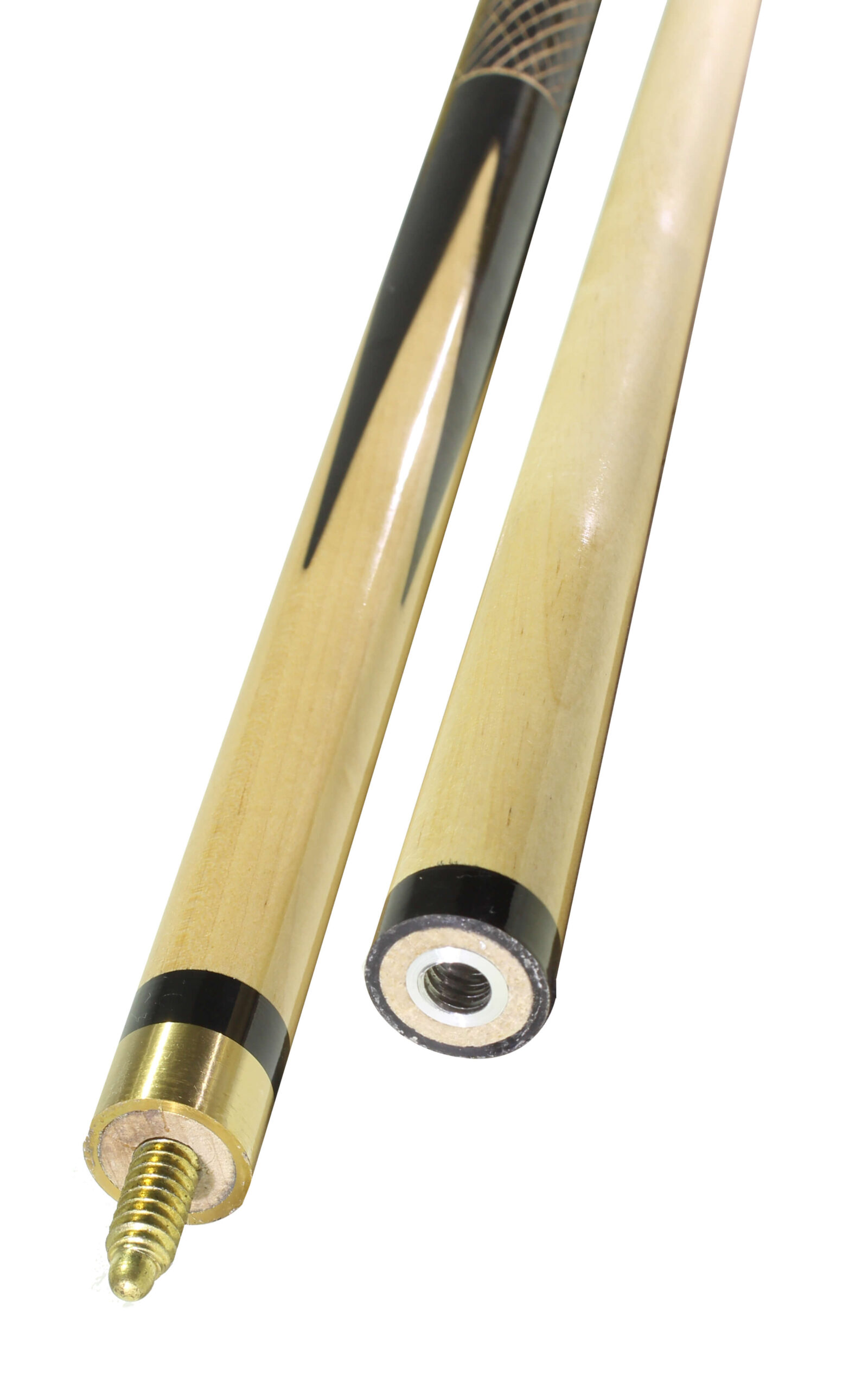 foto oficial para site